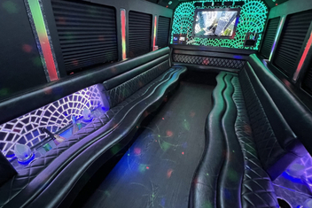 Lake Elsinore Limo Bus Interior